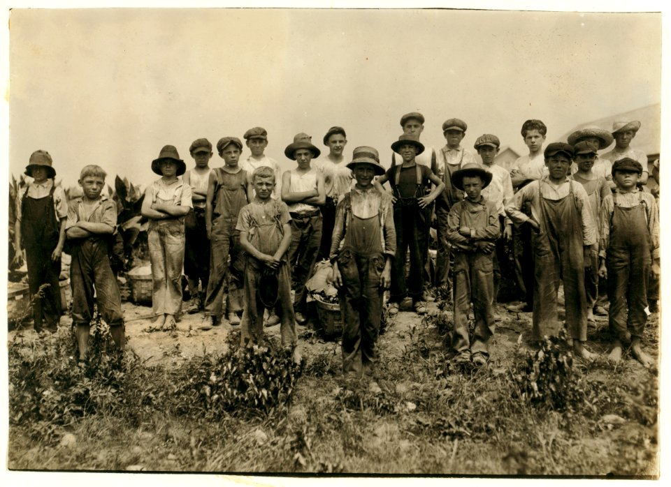 Group of field-workers at Hunttings' Tobacco Farm. One of 9 years, two of 11 yrs., 8 of 12 yrs., 5 of 13 yrs., 3 of 14 yrs., 1 of 15. Four of 11 and 12 had gone home and were not counted. LOC nclc.00709