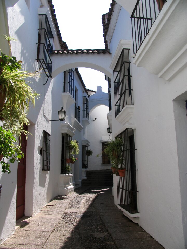 Guell architecture park