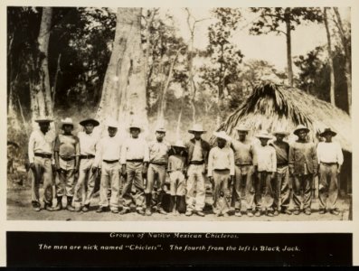 Group of native Mexican chicleros The men are nick named Chiclets. The fourth from the left is Black Jack. LCCN2012647126