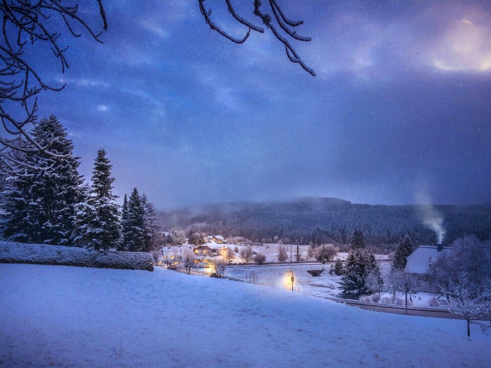 Winter cold landscape