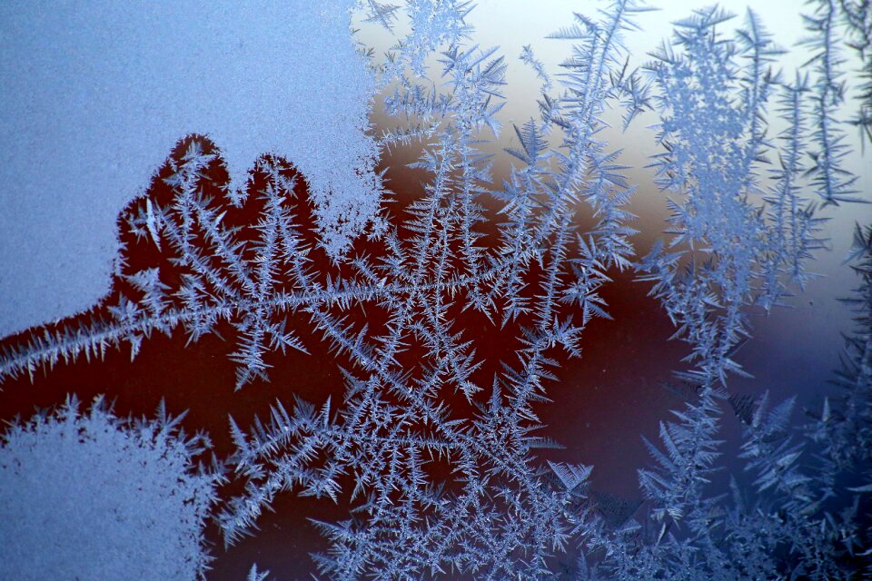 Christmas nature background