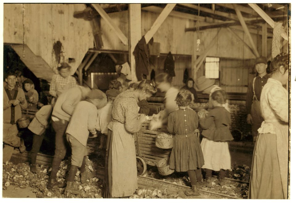 Group of oyster shuckers in Barataria Canning Co. In this group are Gertrude Kohn, five years old, and Pauline --, eight years old. See also photos 1973, 1976, 1997, 1998. LOC cph.3a01056