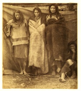 Group of Native Americans, three standing, one seated on the ground, possibly Colville or Kutenai, at the winter quarters of the British Northwest Boundary Commission Survey in Colville, LCCN2003652699