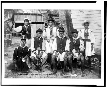 Group of Seminole braves LCCN90710104