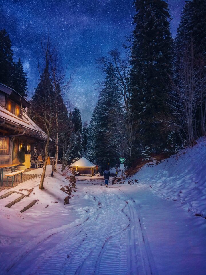 Winter cold landscape