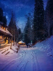 Winter cold landscape