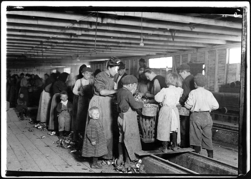 Group of oyster shuckers working in a canning factory. All but the very smallest babies work. Began work at 3-30am... - NARA - 523413