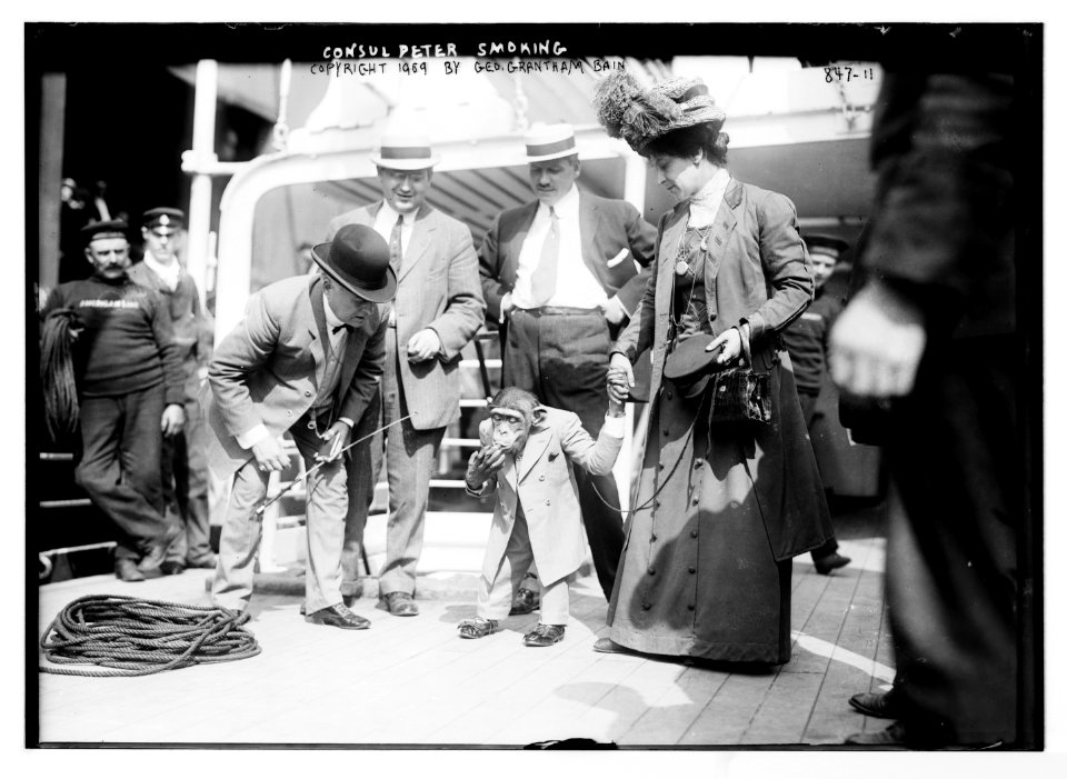 Group of people around Consul Peter - a monkey who is smoking on a boat LCCN2014684084