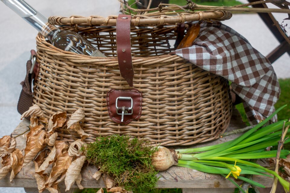 Graze wicker basket plant