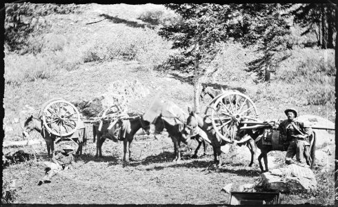 Group of the members of the Survey, engaged in the exploration of the Southwest. Taking apart and packing a wagon... - NARA - 517244 photo