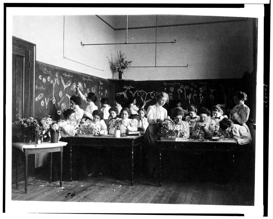 Group of young women studying plants in normal school, Washington, D.C. LCCN90711150