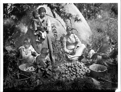 Group of Yokut Indian women and children preparing peaches, Tule River Reservation near Porterville, ca.1900 (CHS-3795)
