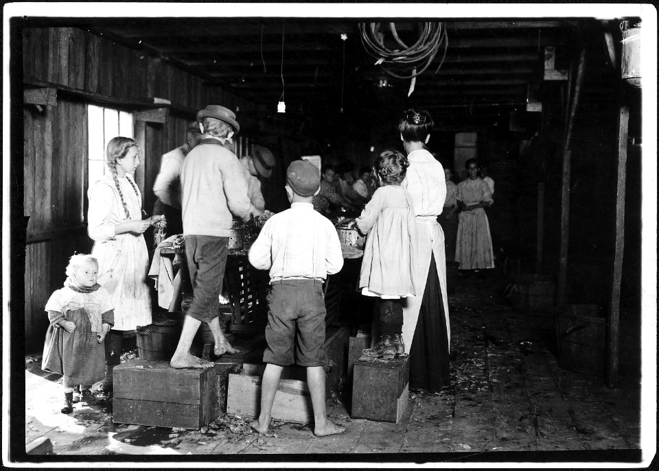 Group picking shrimp. Olga, 5 years old on the end was helping mother. I tried to get her photo at home when they... - NARA - 523409