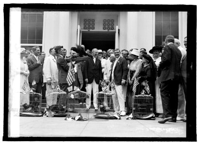 Group with birds in cages LCCN2016821984