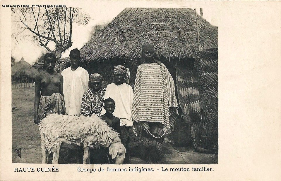 Groupe de femmes indigènes-Le mouton familier (Guinée)