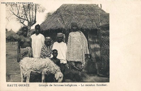 Groupe de femmes indigènes-Le mouton familier (Guinée)