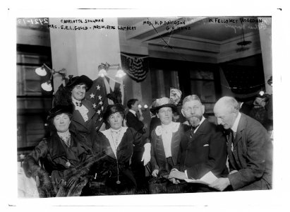 Group- Charlotte Stillman, Mrs. E.R.L. Gould, Mrs. W. Eyre Lambert, Mrs. H.P. Davidson, G.F. Kunz, and Wm. Fellowes Morgan Photo by Bain News Service Portrait LCCN2014694911