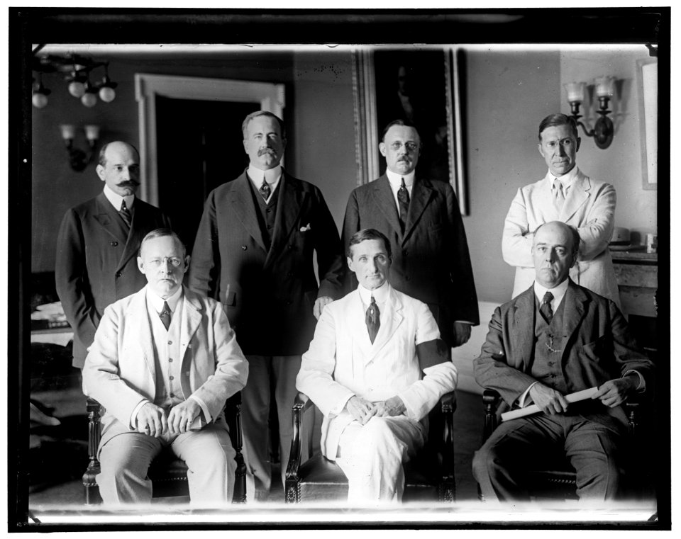 Group- William Gibbs McAdoo, center front LOC hec.13498