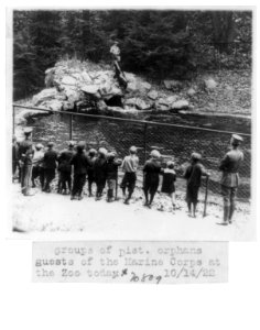 Groups of District orphans, guests of the Marine Corps, watching seals being fed at the National Zoo, Washington, D.C. LCCN2002695692