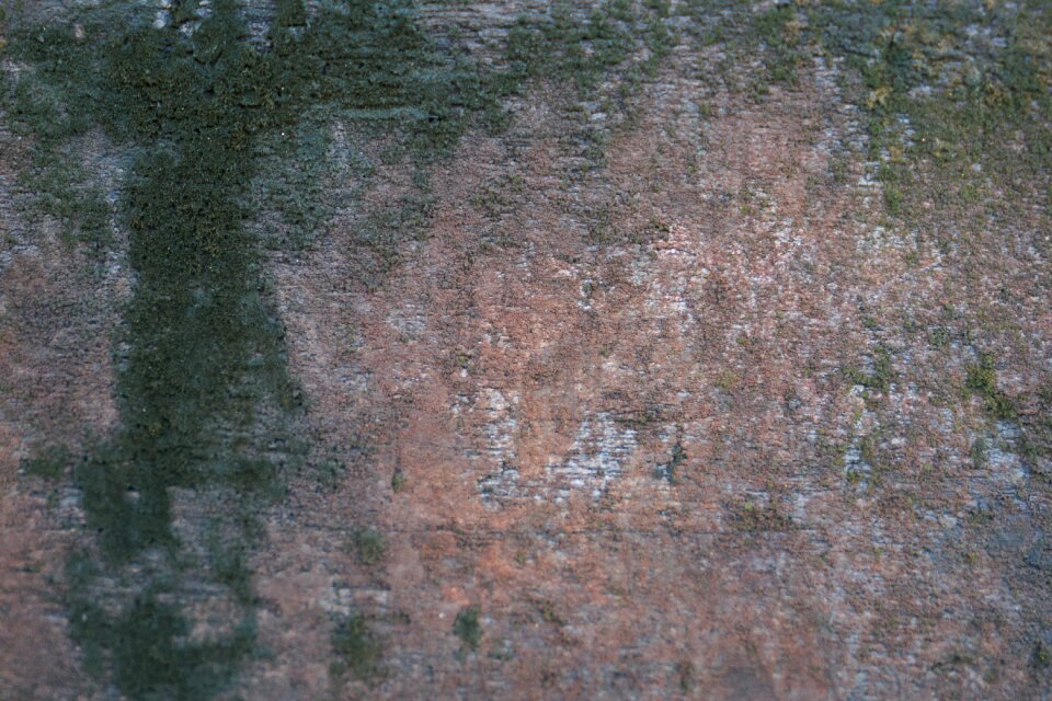 Abstract gray abstract gray wood