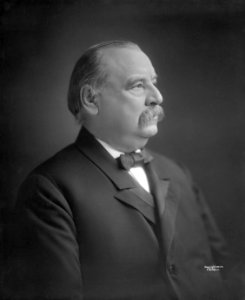 Grover Cleveland, by Frederick Gutekunst