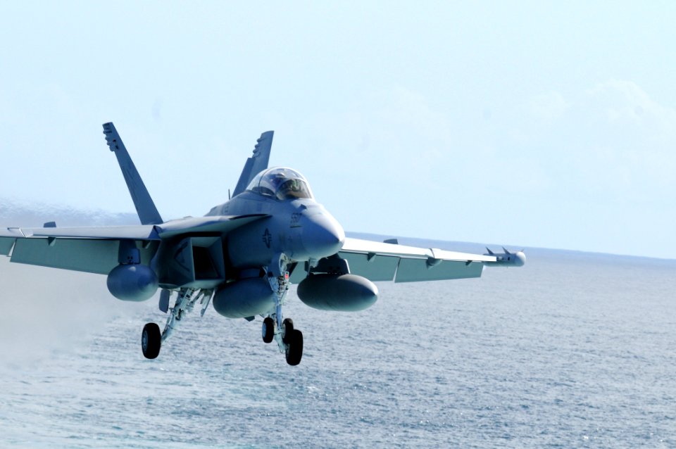 Growlers take to the skies DVIDS151853