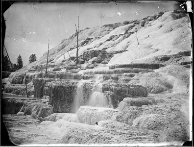 Groups of small, flowing springs and sulphur vents, back of the great central hot spring. Mammoth Hot Springs... - NARA - 516810