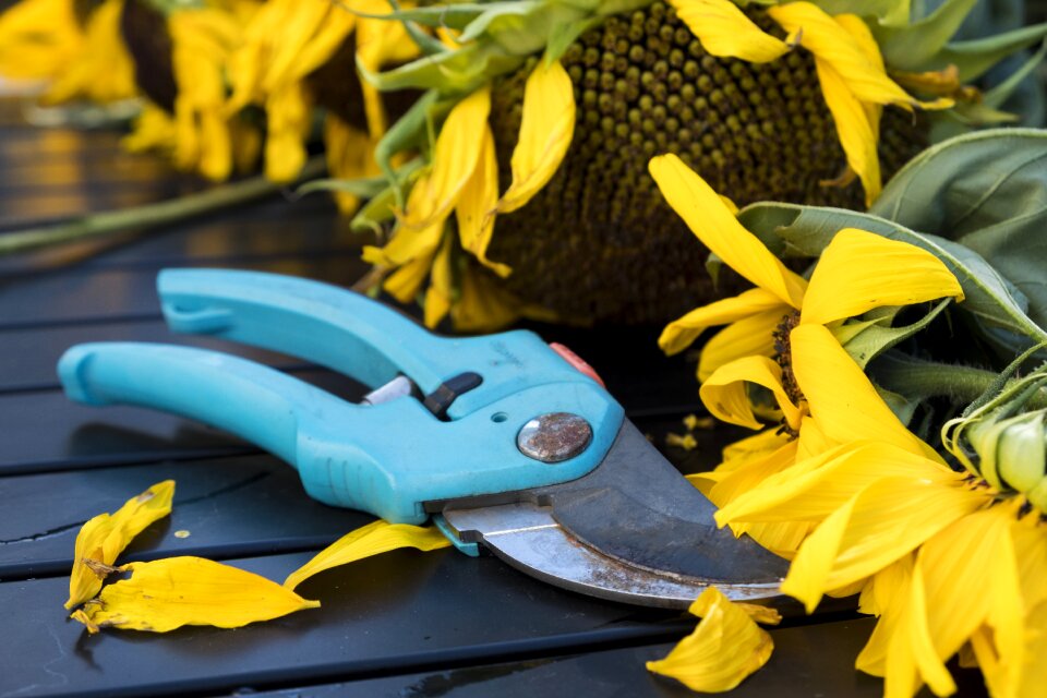 Tool gardening garden