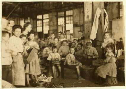 Groups showing a few of the workers stringing beans in the J. S. Farrand Packing Co., Baltimore, Md. Those too small to work are held on laps of workers or stowed away in boxes. LOC nclc.00031