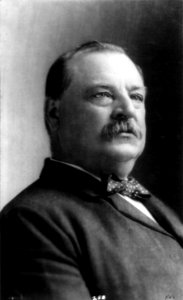 Grover Cleveland cph,3a01886