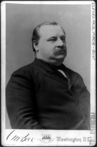 Grover Cleveland, Pres. U.S. LCCN2003688983