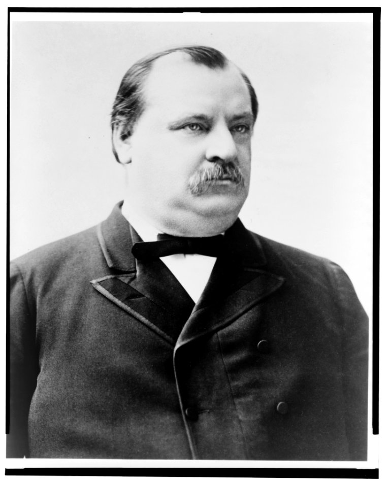Grover Cleveland, bust portrait, seated, facing right LCCN2014648289