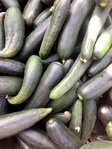 Growing food for Mali in Mali (28882436288)