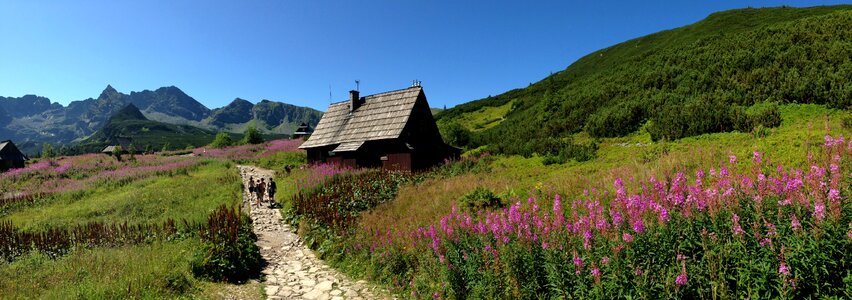 Landscape nature poland