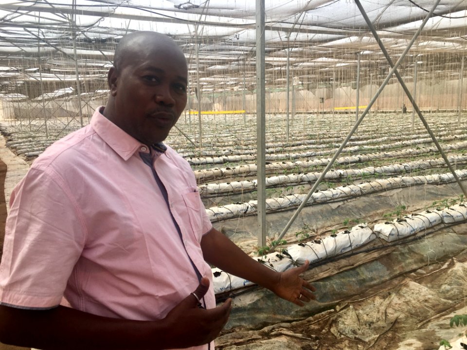 Growing food for Mali in Mali (27887064257)