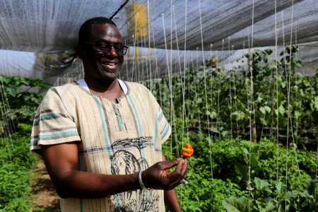 Growing food for Mali in Mali (42706611192)