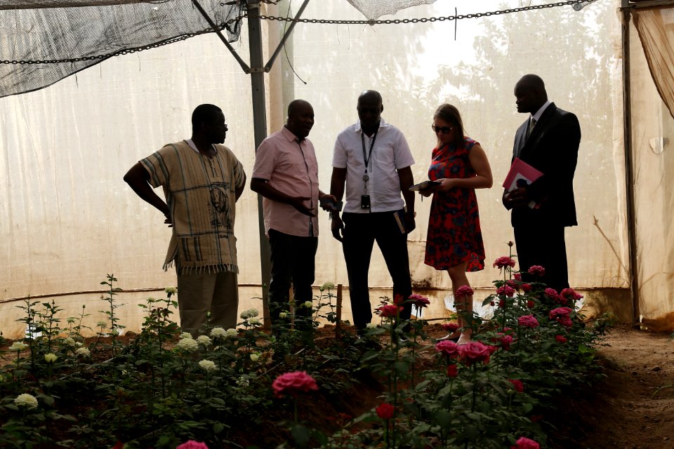 Growing food for Mali in Mali (42756278031)
