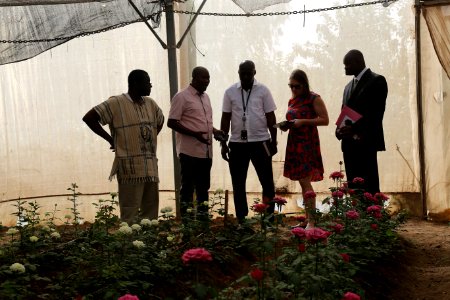 Growing food for Mali in Mali (42756278031)