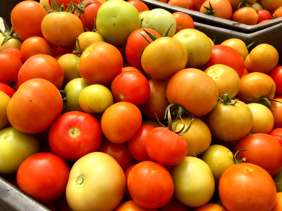 Growing food for Mali in Mali (27887062667)