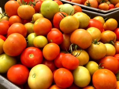 Growing food for Mali in Mali (27887062667)
