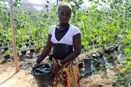 Growing food for Mali in Mali (42706614112)