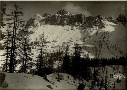 Groß-Sattel Kote 1947 zwischen Trogkofl und Zweikofl. Standpunkt, Von NW, beim Artilleriestand auf dem Lärchboden. (BildID 15467133)