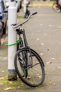 Dutch bicycle travel photo