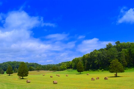 Hay farm agriculture photo