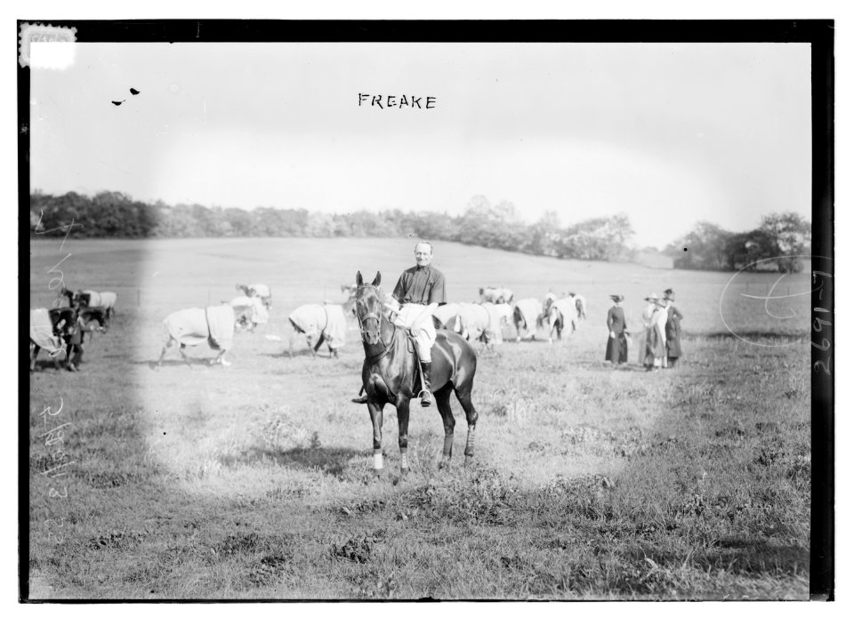 Freake LCCN2014696702