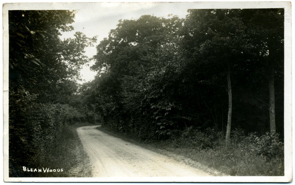 Fred C Palmer Blean Woods 1910
