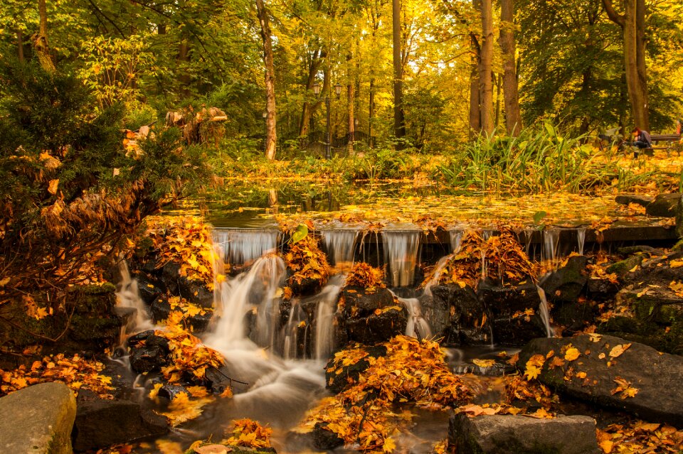 Nature landscape stream photo