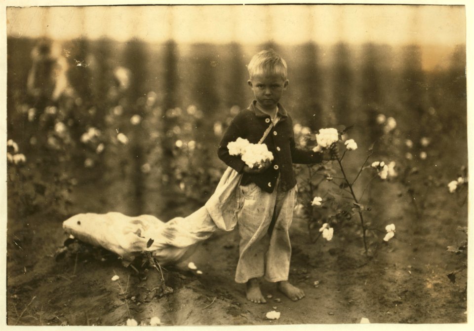 Fred Hill, 3 years old, sometimes picks 20 pounds of cotton a day. See 4580. LOC nclc.00617