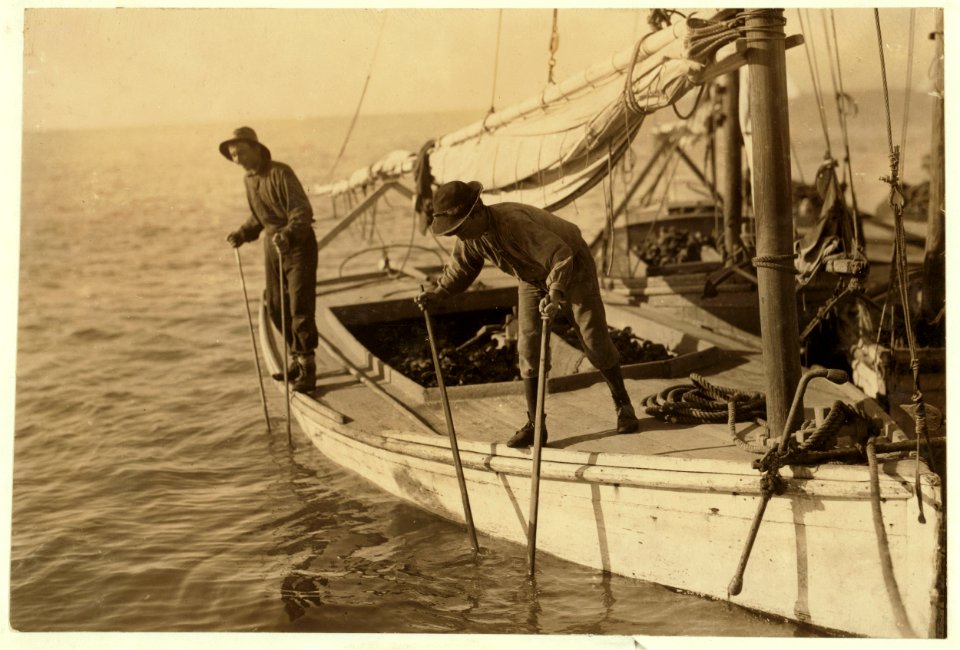 Fred, a young oyster fisher; working on an oyster boat in Mobile Bay, the Reef, near Bayou La Batre, said he was fourteen, but not likely. LOC nclc.00812