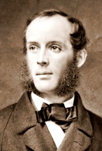 Frederic Edwin Church - Brady-Handy-crop